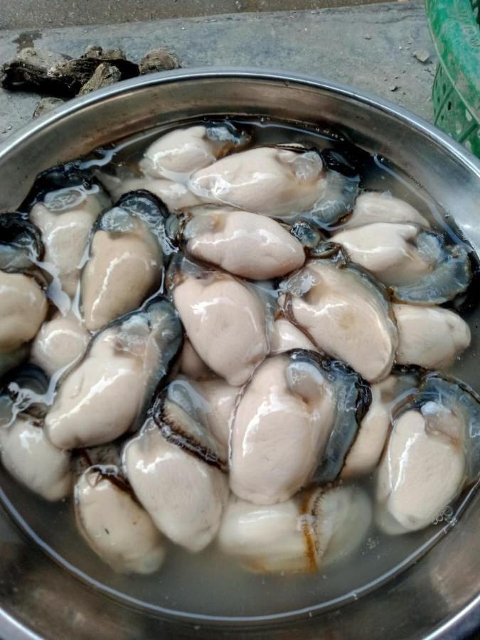Thai Bao Hotel And Restaurant Chan Chau 外观 照片